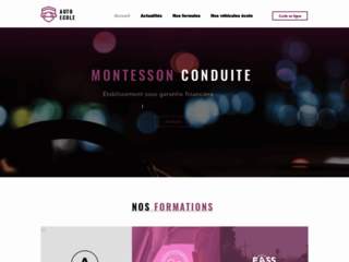 Driving School Montesson Conduite