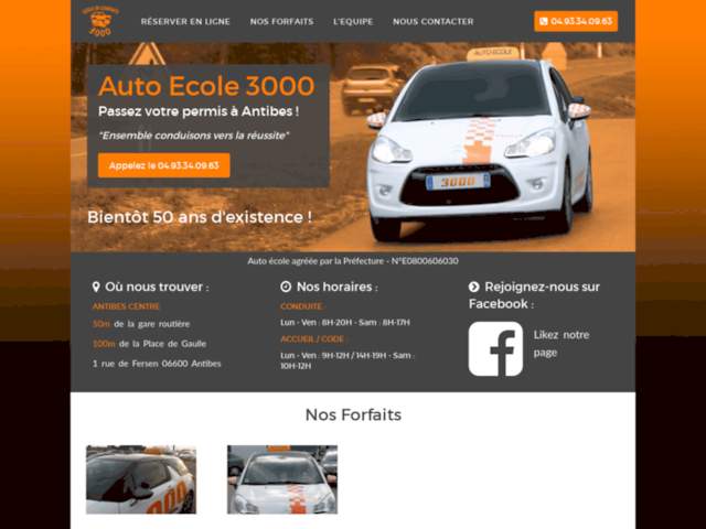 Driving School 3000