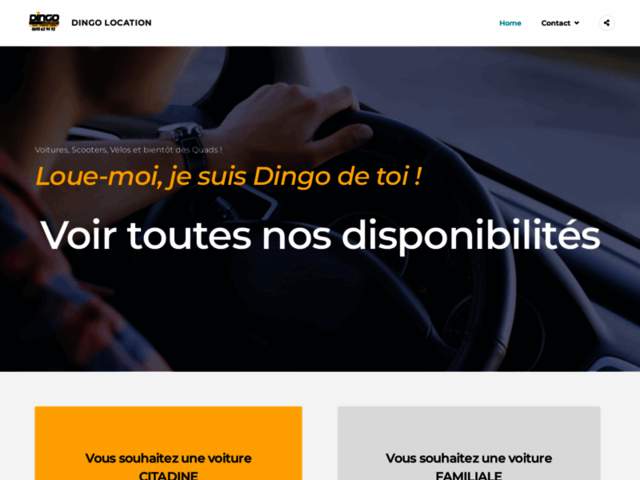 › Voir plus d'informations : Dingo