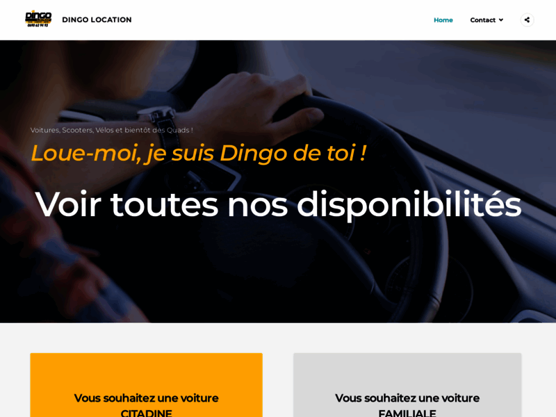 › Voir plus d'informations : Dingo