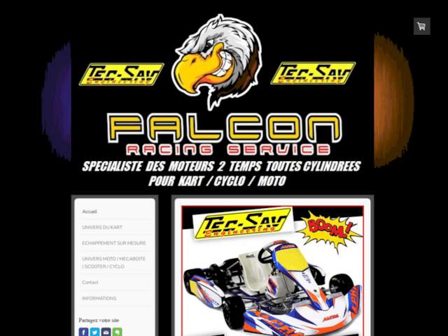 Tecsav Engineering-Falcon RS