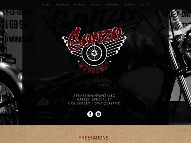 › Voir plus d'informations : Gonzo Workshop