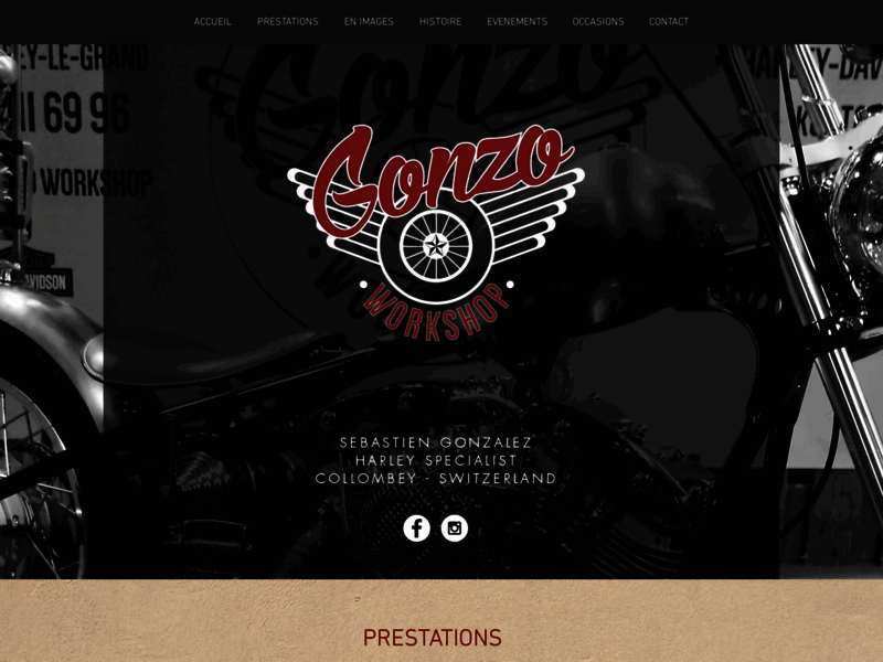 › Voir plus d'informations : Gonzo Workshop