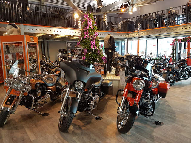 Harley-Davidson Gent
