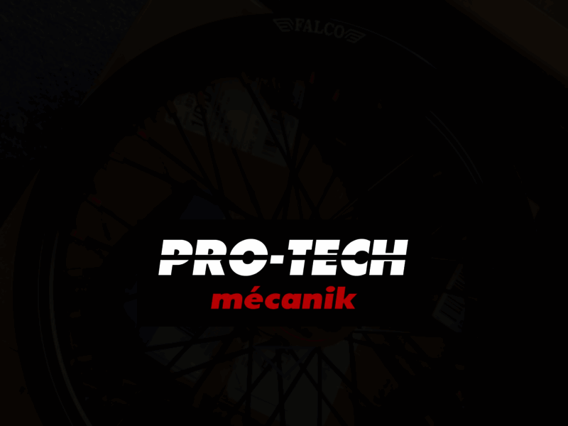 › Voir plus d'informations : pro tech mecanik