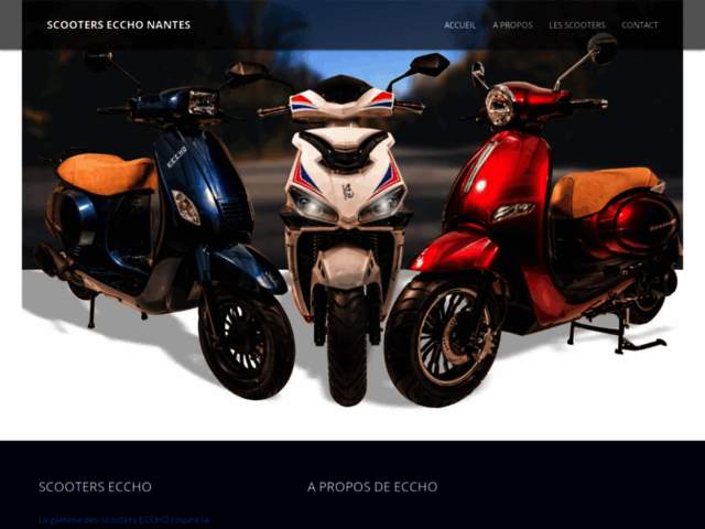 › Voir plus d'informations : SCOOTERS ECCHO