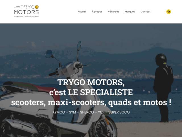 Trygo Motors